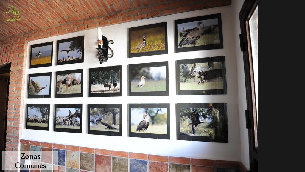 Apartamentos Rurales Monfraguee Torrejón el Rubio Exteriér fotografie